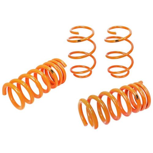 aFe Control Lowering Springs Ford Mustang GT 15-17 V8-5.0L