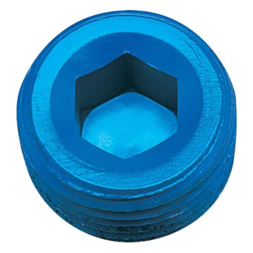 PLUG, ALLEN PIPE – 1/2″ BLUE (1 PER PACK)